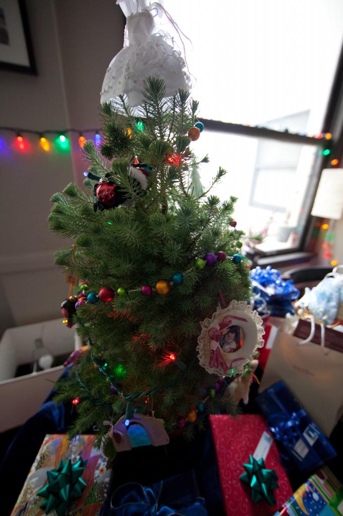 Our Tiny Live Christmas Tree