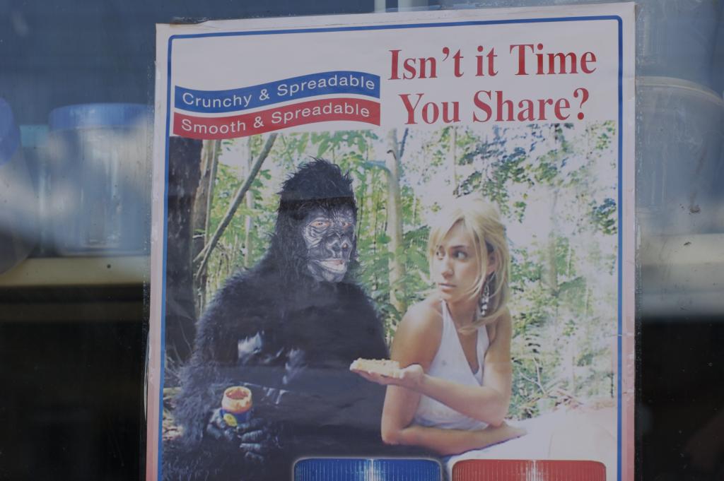 time to share with a gorilla?