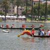 dragon boat races